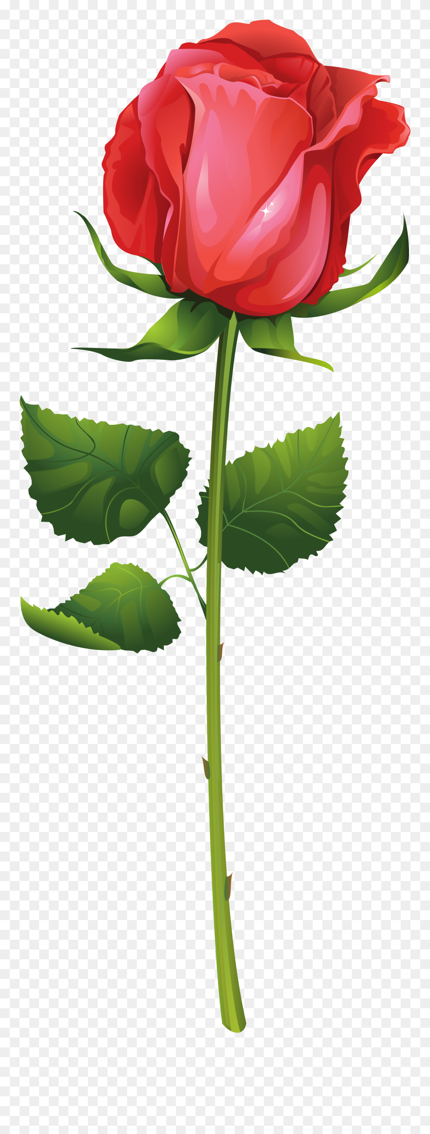 Rose With Stem Clipart Clipart Royalty Free Stock Rose - Red Rose Illustration Vector - Png Download