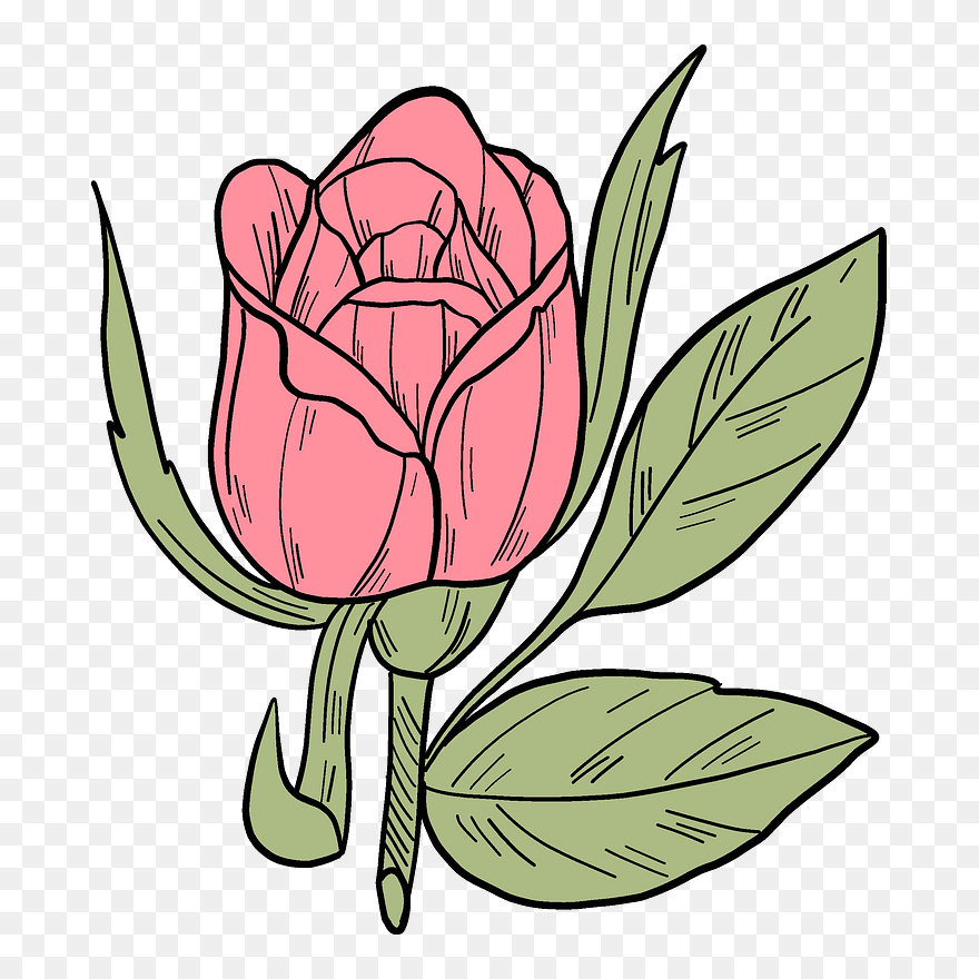 Pink Rose Clipart - Rose - Png Download