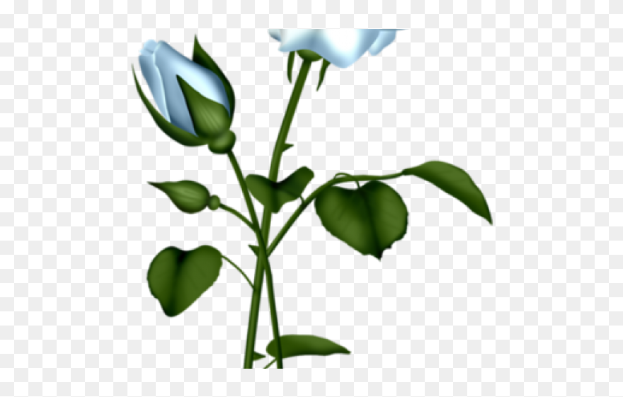 Blue Clipart Transparent Flower Png