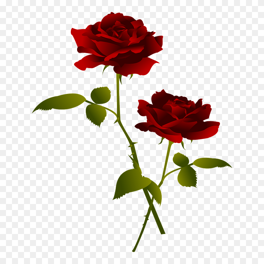 Red Rose Flower Clipart - Rose - Png Download