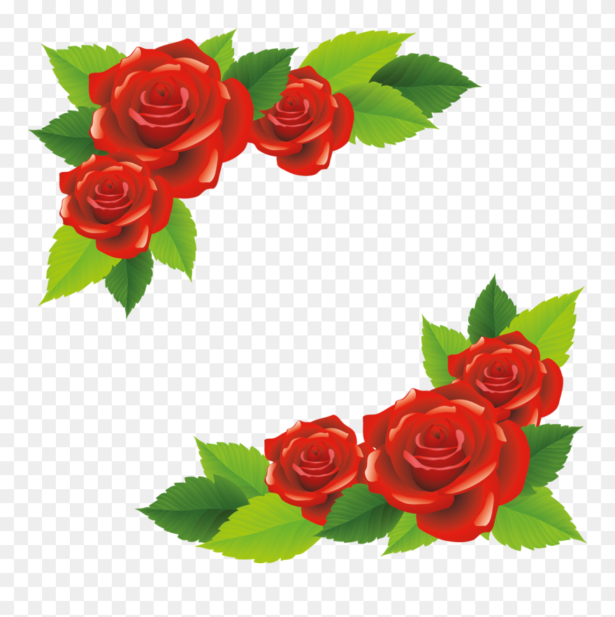 Transparent Climbing Roses Clipart - เวก เตอร์ Png ดอก กุหลาบ