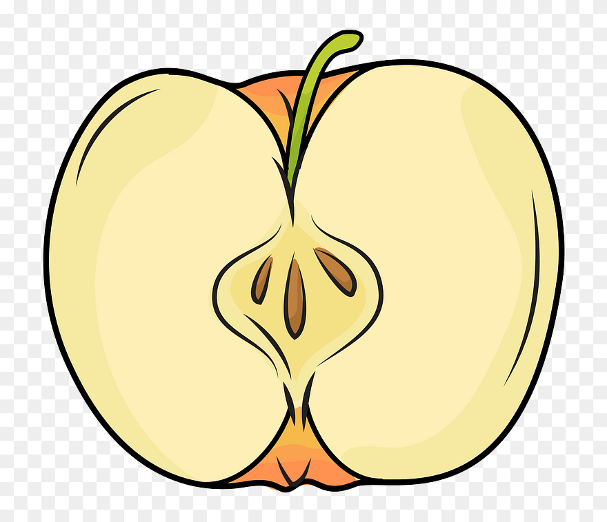 Half Apple Clipart - Illustration - Png Download