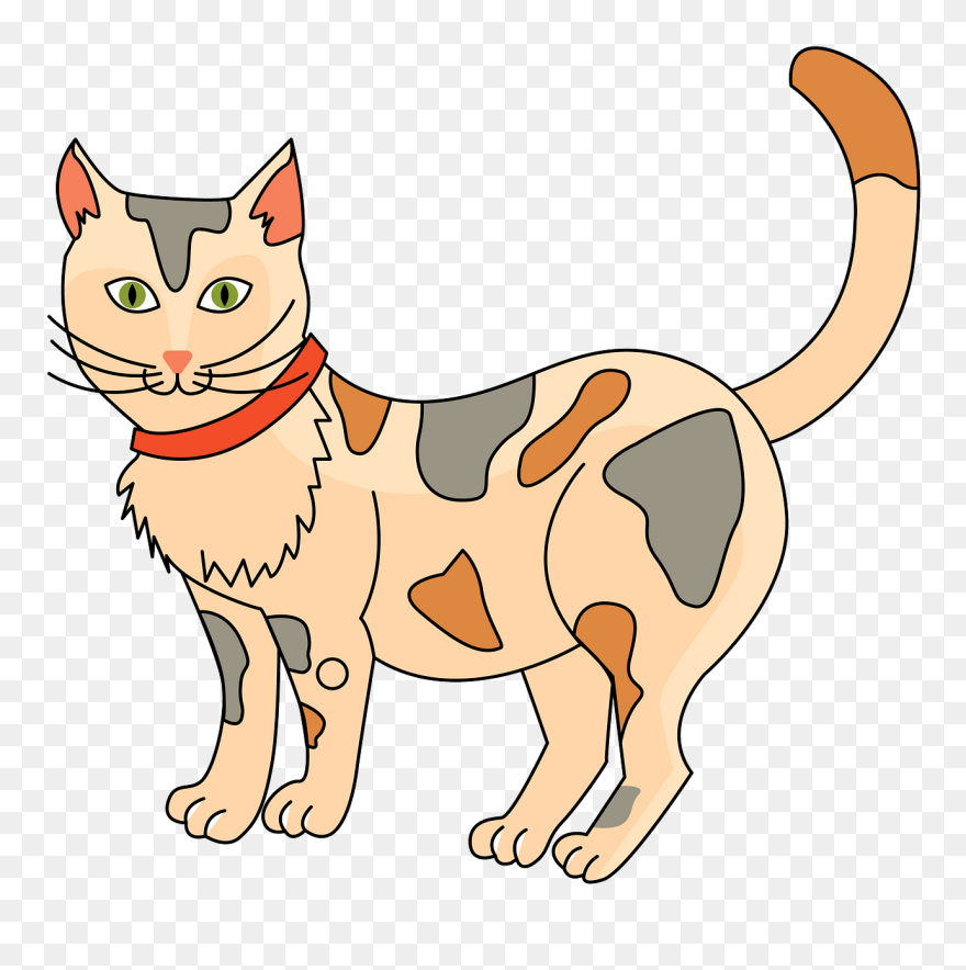Cat Clipart - Clipart Picture Of Cat - Png Download