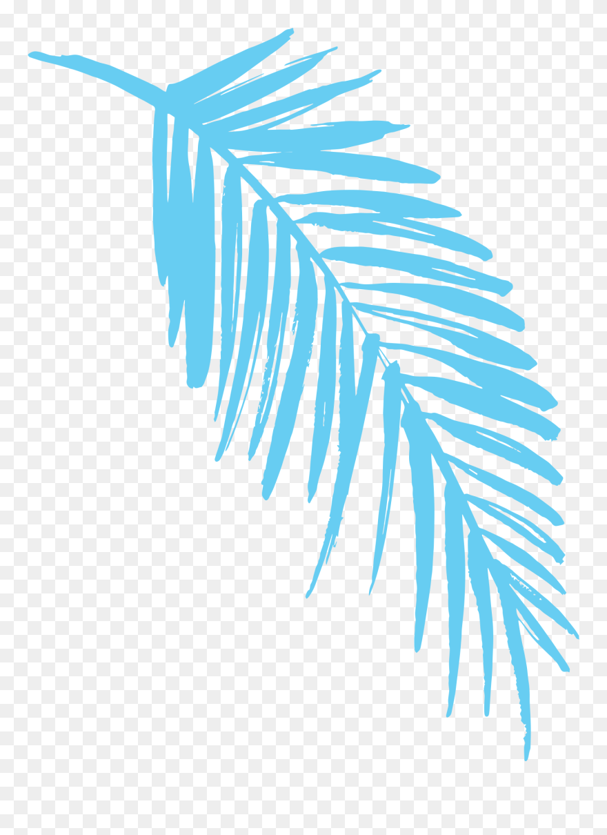 2019 Light Blue Fern Leaf - Transparent Fern Clip Art - Png Download
