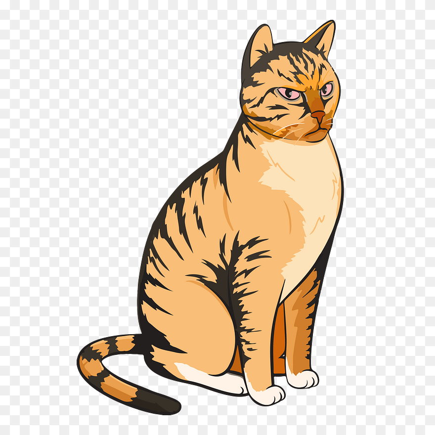 Unhappy Cat Clipart - Angry Cartoon Cat - Png Download