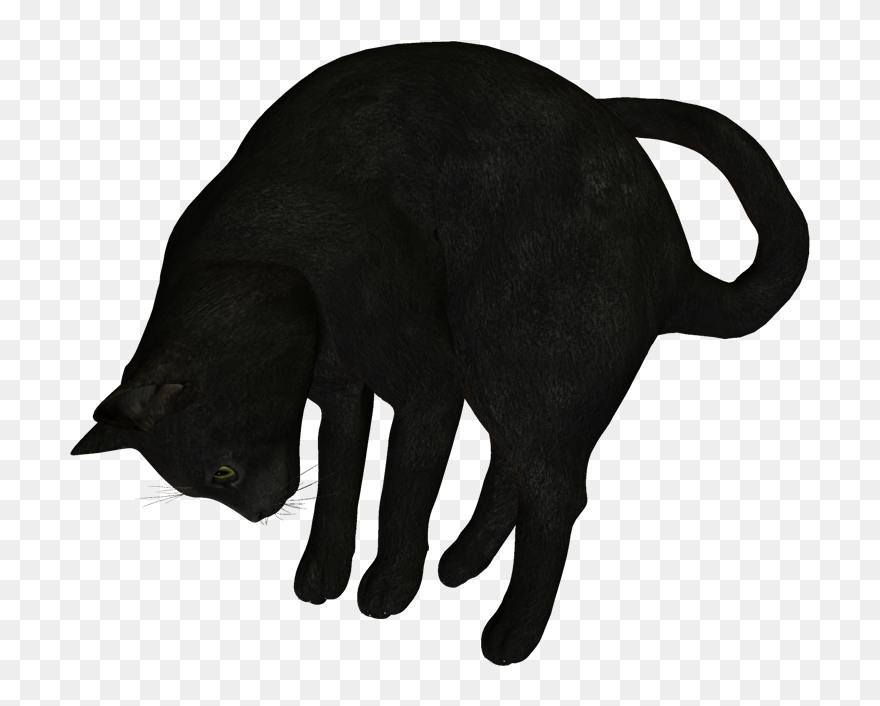 Black Cat Clip Art - Asian - Png Download