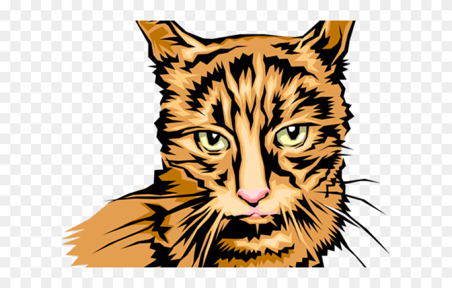 Tabby Cat Clipart Cat Head - Clip Art - Png Download