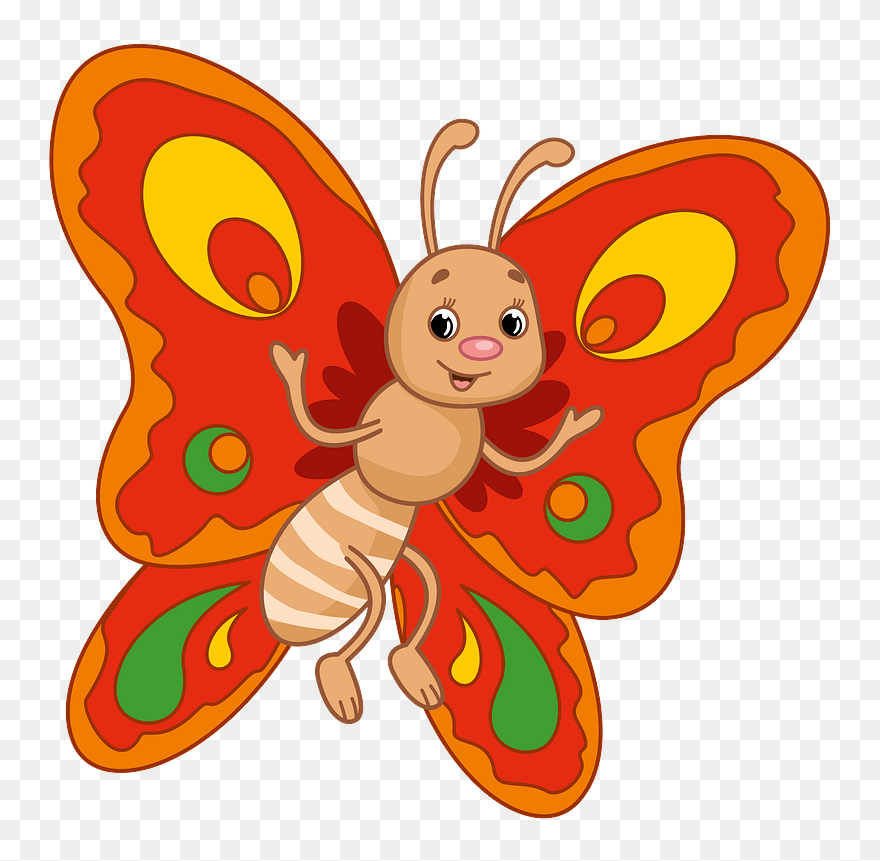 Butterfly Clipart - Cartoon - Png Download