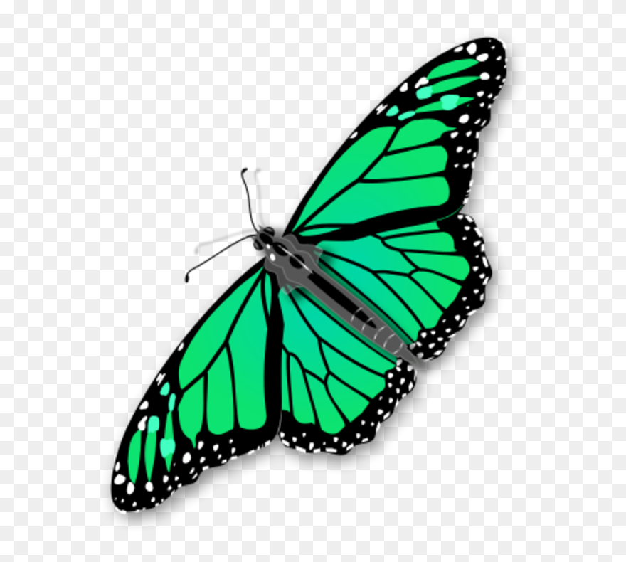 Transparent Butterflies Clipart - Butterfly Clip Art Transparent Background - Png Download