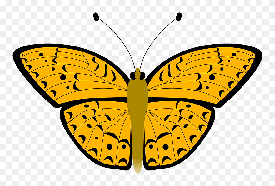 Butterfly Clipart - Kartun Gambar Kupu Kupu - Png Download