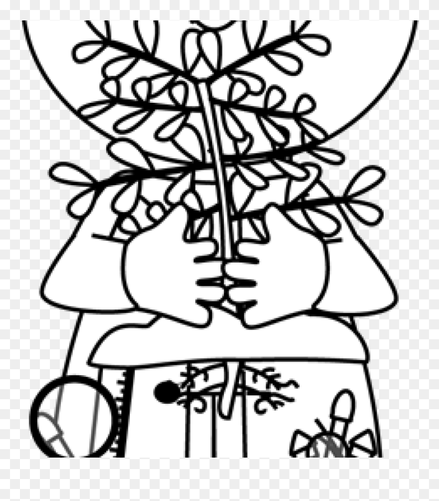 Transparent Clipboard Clipart Png - Science Plant Clip Art Black And White
