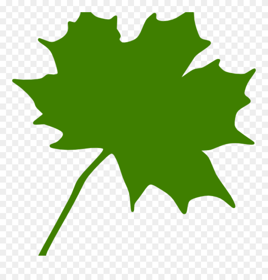 Maple Leaf Clipart Green Maple Leaf Clipart Clipart - Black Maple Leaf Clip Art - Png Download