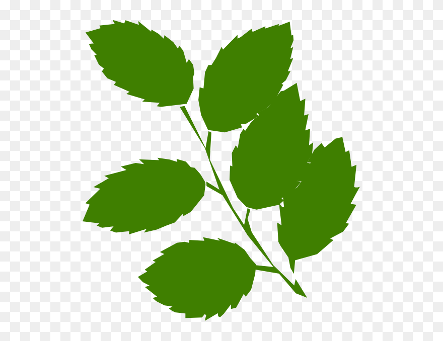 Thumb Image - Green Leaves Clip Art - Png Download