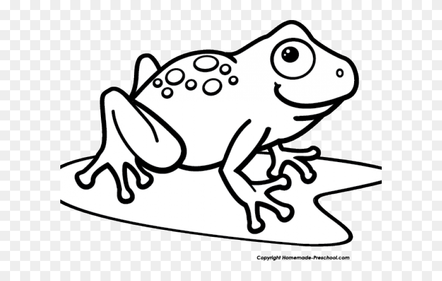 Clip Art Black And White Frog - Png Download