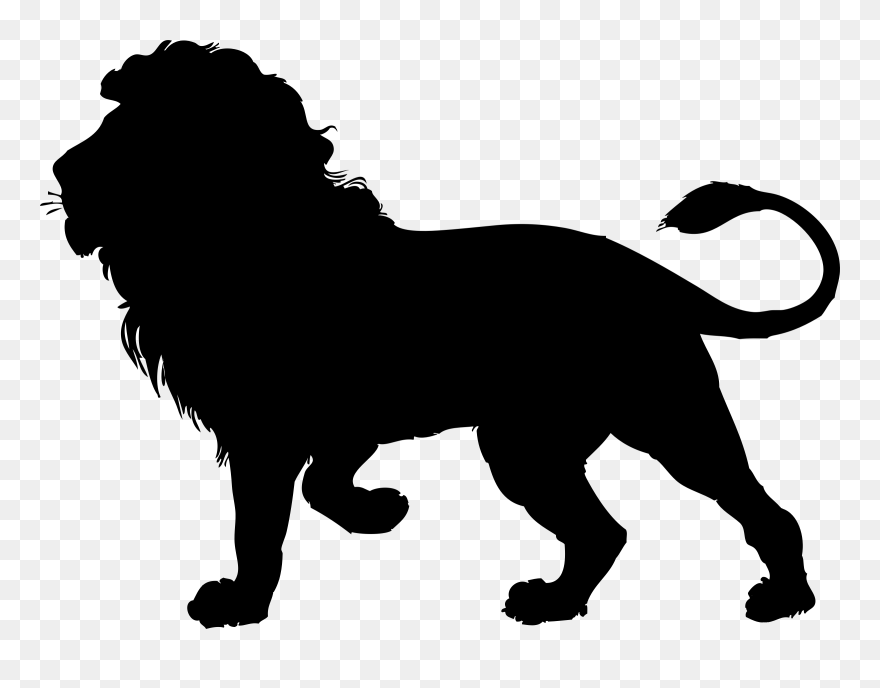 Lion Black Clipart - Shadow Of A Lion - Png Download