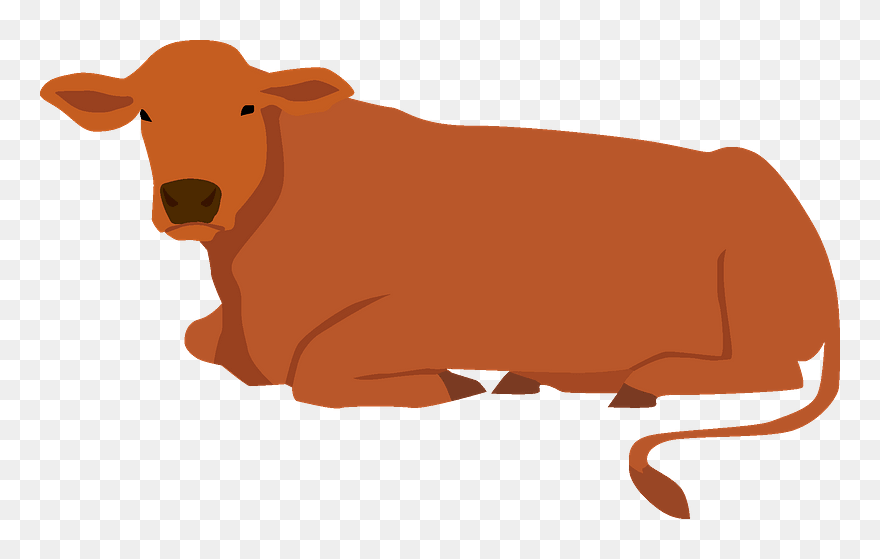 Cow Clipart - Bull - Png Download
