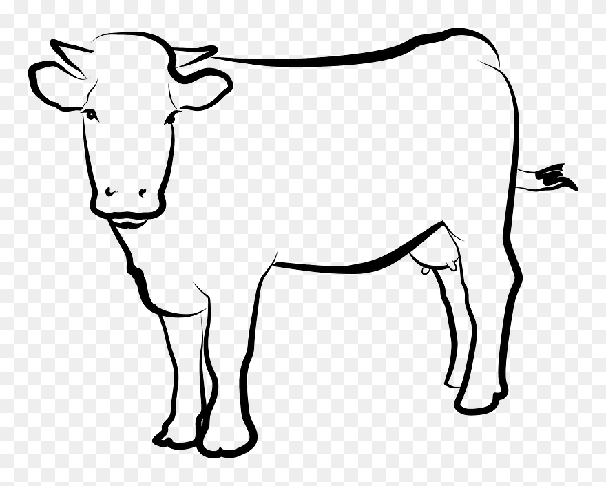 Drawn Cow Clipart - Pregnant Cow Clipart - Png Download