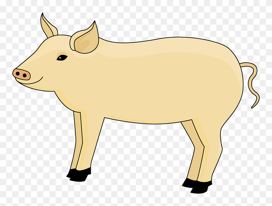 Pig Clipart - Domestic Pig - Png Download