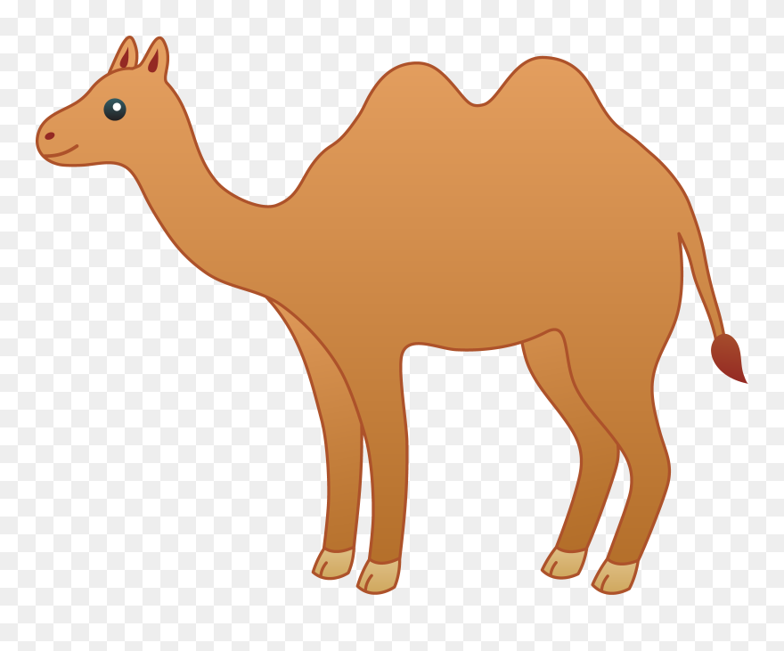 Camel Football Cliparts - Png Download