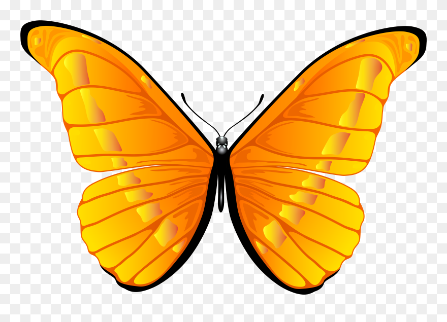 Butterfly In Clipart - Butterfly Clip Art Png Transparent Png