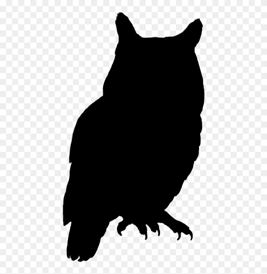 Owl Bird Silhouette Clip Art - Owl Silhouette Png Transparent Png