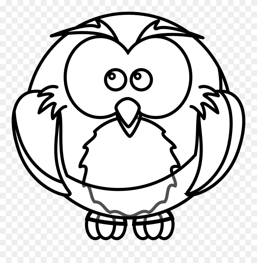 Snowy Owl Drawing Outline Clip Art - Owl Cartoon Coloring Pages - Png Download
