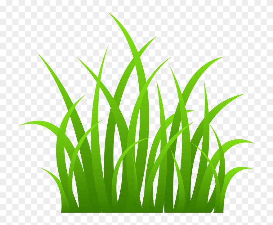 Transparent Background Grass Clipart - Png Download