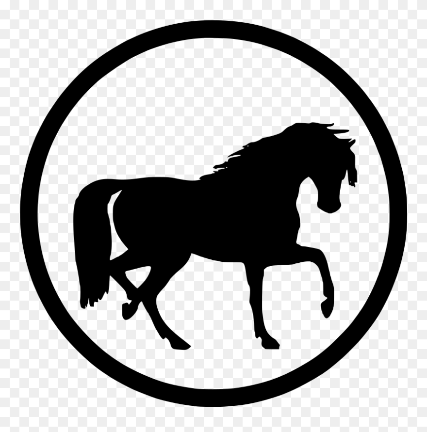 Transparent Caballo Clipart - Horse Silhouette Clip Art - Png Download