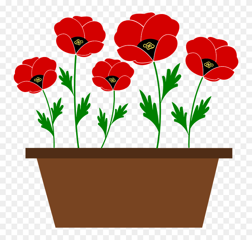 Transparent Pot Plant Png - Flower Pot Cartoon Png Clipart