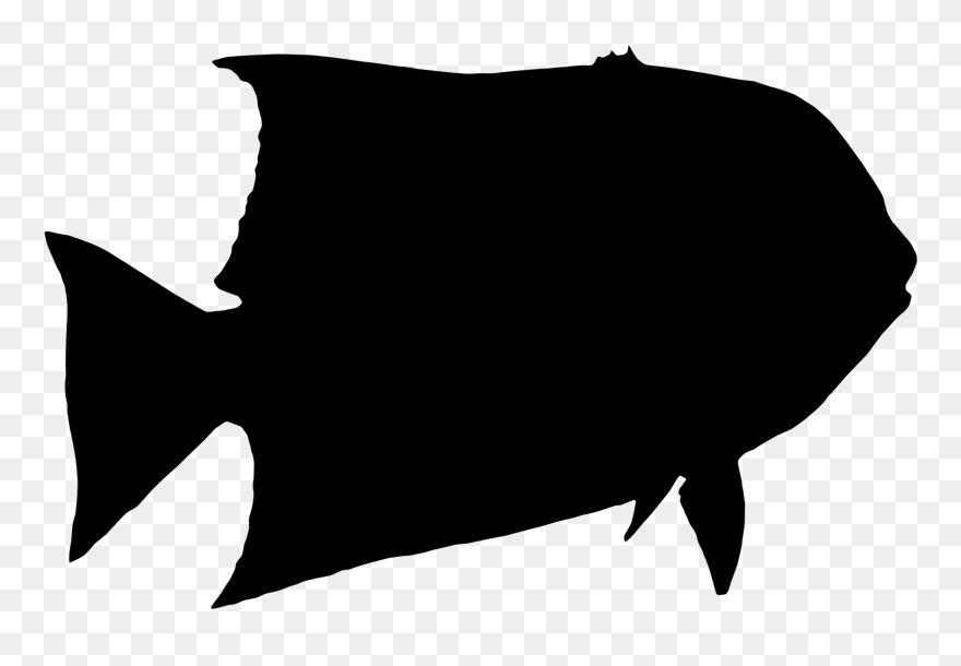Black & White - Silhouette Fish Clipart Transparent - Png Download