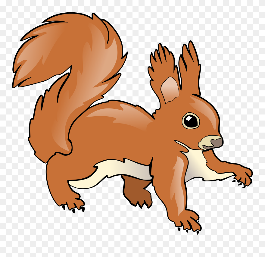 Thumb Image - Red Squirrel Clipart - Png Download