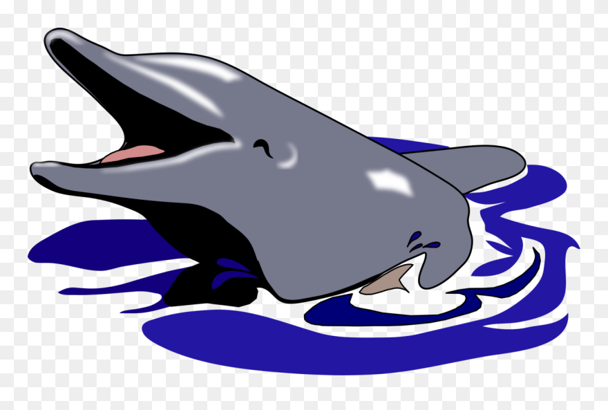 Cute Dolphin In Water Clipart - Dolphin Mouth Open Clipart - Png Download