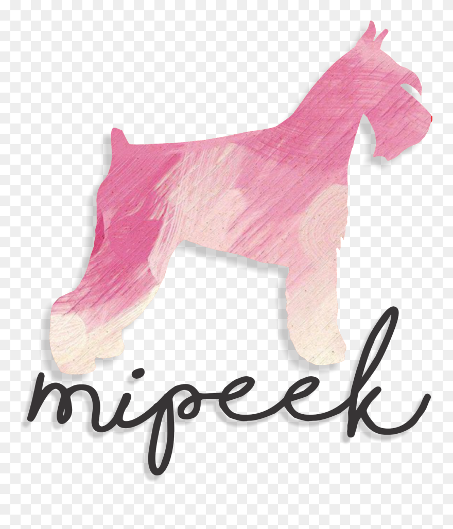 Recursos De Computación - Miniature Schnauzer Clipart