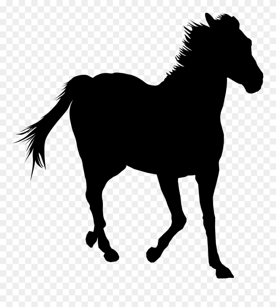 Free - Graficzny Koń Clipart