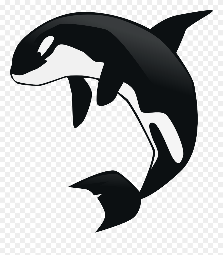 Killer Whale Clipart Transparent Background - Png Download