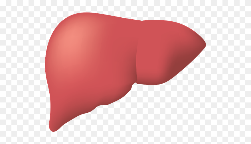 Illustration Clipart