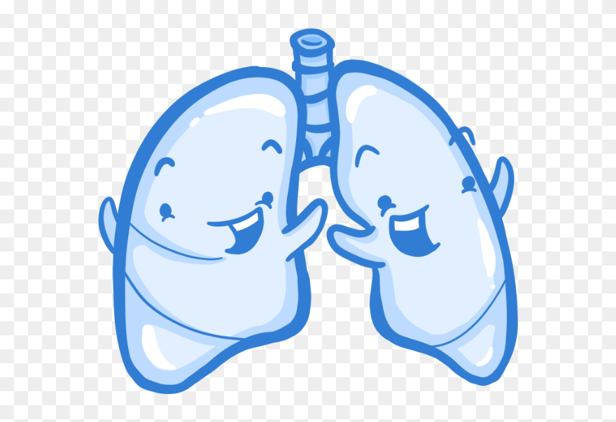 Clip Art - Png Download