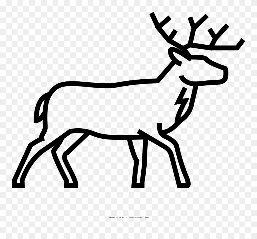 Ciervo Para Dibujar Clipart