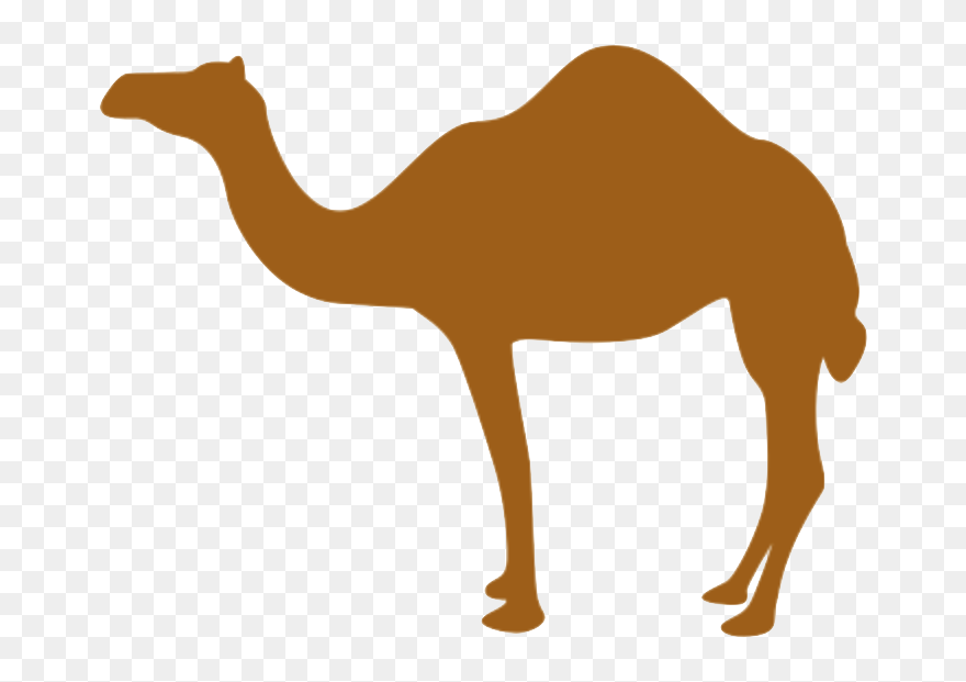Tech Camel - Camel Clip Art Png Transparent Png
