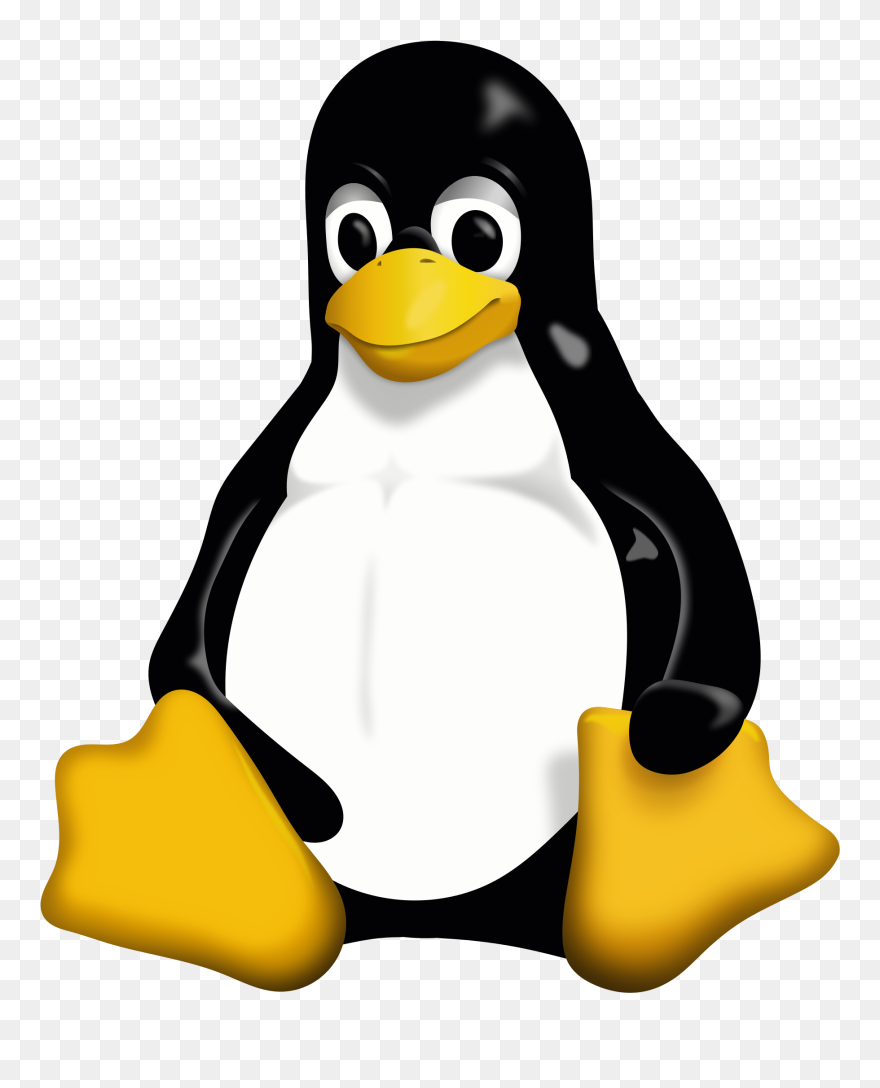 Download Linux / Unix - Linux Logo In Png Clipart (#5198341) - PinClipart