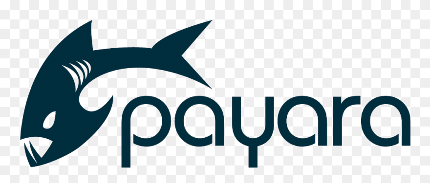Payara Server Clipart