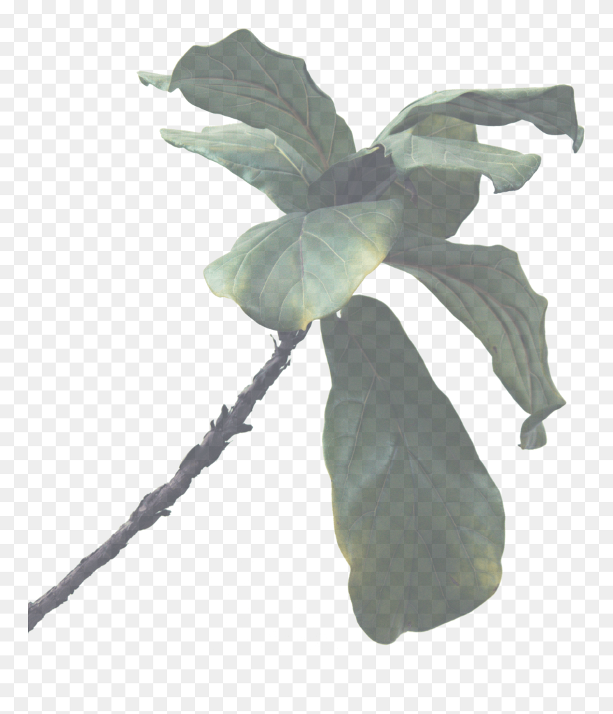 Kream Ft Maia Wright Decisions Clipart