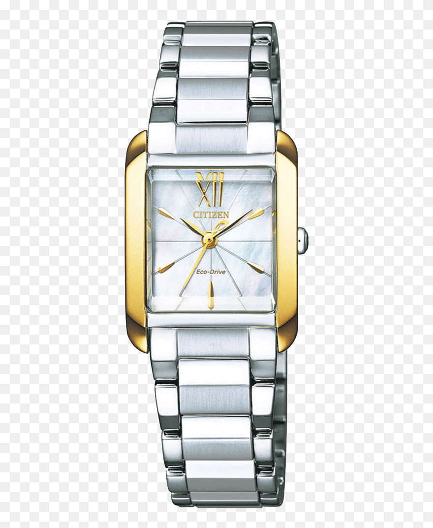 Citizen Watches Price In Uae Clipart