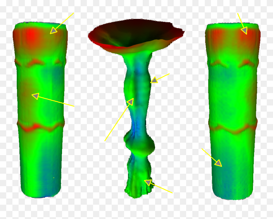 Illustration Clipart