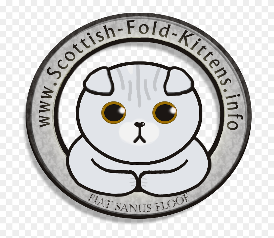 Scottish Fold Kittens Clipart