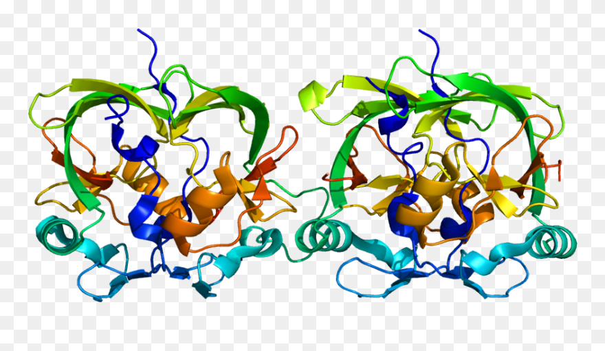 3d Rendering Of The Axh Domain Of Ataxin 1 Protein - Spinocerebellar Ataxia Clipart