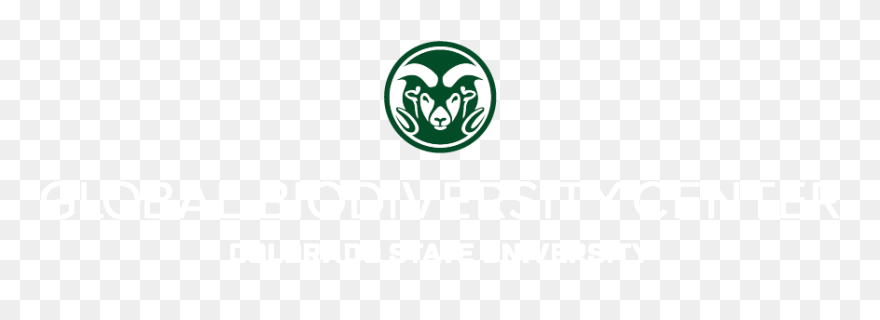 Colorado State University Clipart