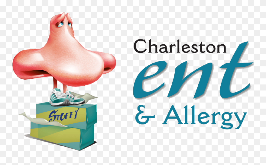 Charleston Ent & Allergy - Charleston Ent Clipart