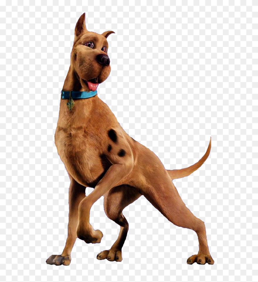 Type Of Dog Is Scooby Doo Clipart