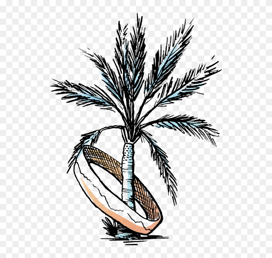 Coachella General Admission Tickets Clipart